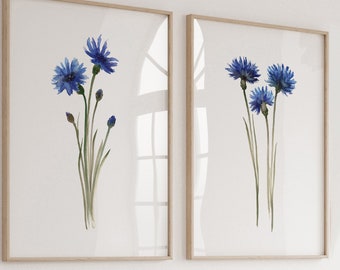Cornflower Painting, Watercolor Flower Living Room Decor, Minimalist Poster Extra Lage set of 2 Blue Wall Decor, Botanical Artwork Art Print