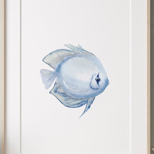 Blue Fish Discus Fish Print