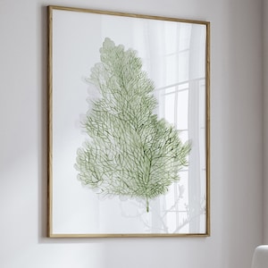 Coral Modern Print, Minimalist Coral Art Print Coastal Watercolor Wall Decor Living Room Beach House Botanical Painting