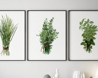 Herbs Bundle Thyme Basil Chive set 3 Herb Art Prints Green Kitchen Wall Illustration, Medicinal Plants Botanical Home Dining Room Decor