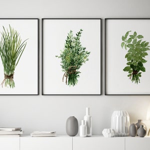 Kruidenbundel Tijm Basilicum Bieslook set 3 kruid kunstafdrukken groene keuken muur illustratie, geneeskrachtige planten botanisch huis eetkamer decor