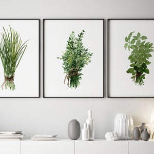 Herbs Bundle Thyme Basil Chive set 3 Herb Art Prints Green Kitchen Wall Illustration, Medicinal Plants Botanical Home Dining Room Decor