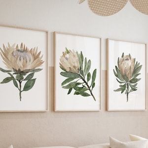 Protea Flower Botanical Art Print, 3 Flowers set Gifts Wall Art Green Leaves Brown Taupe Illustration Living Room Decor Flowers Poster