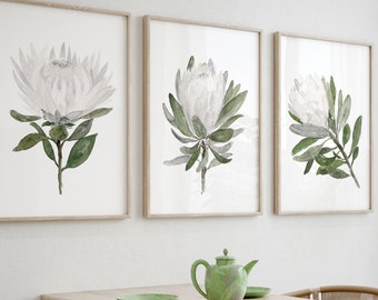 Protea Wall Art, Protea Art, Protea Print, Protea Flower, Flower Girl Gift, Protea set of 3 Prints Watercolor Painting