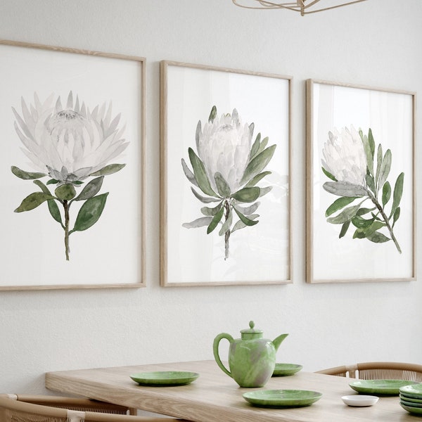 Protea Wall Art, Protea Art, Protea Print, Protea Flower, Flower Girl Gift, Protea set of 3 Prints Watercolor Painting