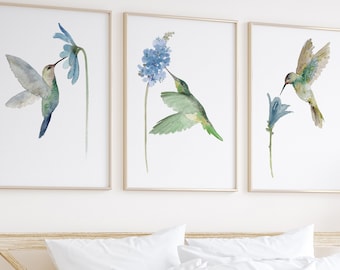 Hummingbird Art Print, Hummingbird Wall Art, Bird Wall Decor set of 3 Prints, Bird Home Decor, Exotic Bird Wall Art, Bird Print
