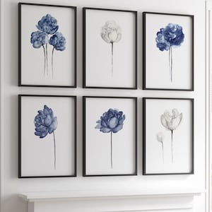 Peony Flower Art Print set 6 Navy Blue Peonies Botanical Entryway Living Room Large Poster Canvas Print Wall Art Taupe Wall DecorPainting