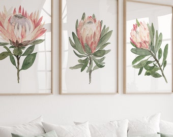 Regalo per la damigella d'onore, fiore di protea, decorazione murale floreale, decorazione floreale per la casa, arte murale di protea, stampa di protea, arte di protea, set di 3 stampe di protea