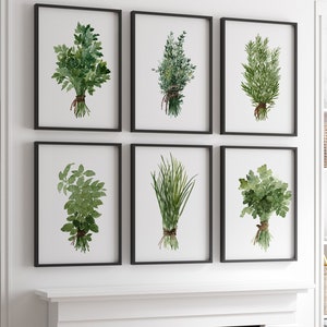 Kräuter Botanische Kunst, Kräuterdruck, Kräuterdekor-Wandkunst, Botanischer Druck, Botanischer Garten Geschenk, Küchenposter, Kräuter-Bundle-Set von 6