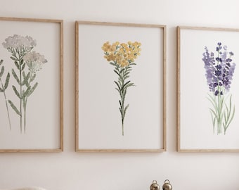 Botanical Kitchen Herbs Prints Set of 3, Herb Wall Art, Kitchen Art Prints, Herb Decor, Botanical Art Print Set, Farmhouse Kitchen Decor