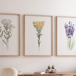 Botanische Küchenkräuter Drucke 3er Set, Kräuter Wandkunst, Küchen Kunstdrucke, Kräuter Dekor, Botanische Kunstdruck Set, Bauernhaus Küche Dekor