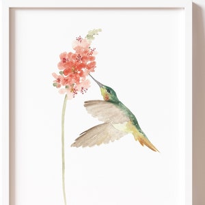 Hummingbird Art Print, Hummingbird Print Wall Art, Flower Wall Decor, Hummingbird Poster Watercolor Painting