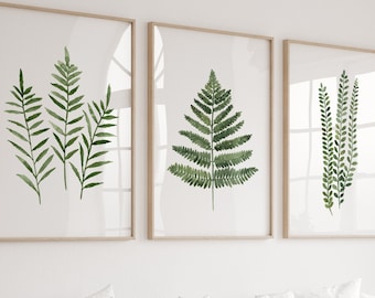 Fern Wall art, Fern Print, Fern Art Print, Fern Wall Decor, Green Fern Leaf set of 3 Prints