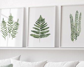 Fern Wall Art, Fern Art Print, Fern Wall Decor, Fern Print Living Room Wall Decor, Green Fern Leaf set of 3 Prints