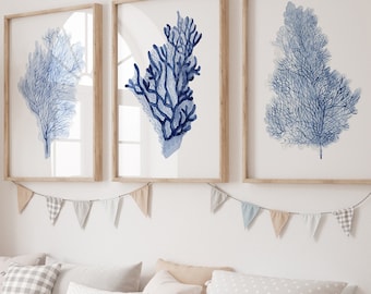 Juego de 3 algas de coral, pintura moderna, impresión artística minimalista de coral, acuarela costera, decoración de pared para sala de estar, casa de playa, pintura botánica