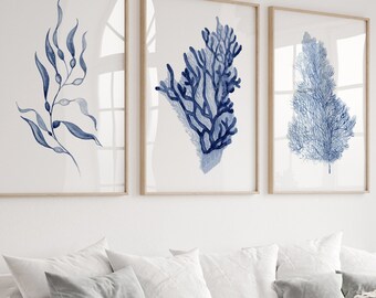 Algas coralinas, arte de acuarela azul Nay, juego de 3 impresiones de arte botánico, decoración náutica de casa de playa, arte minimalista de pared de helecho marino.
