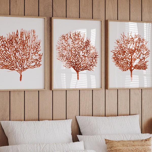Coral Decor Etsy