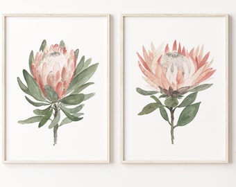 Extra Large Protea Art Print - Room Decor Native Flowers Canvas, Coral Floral Prints by Joanna Szmerdt, Thoughtful Mother's Day Gift