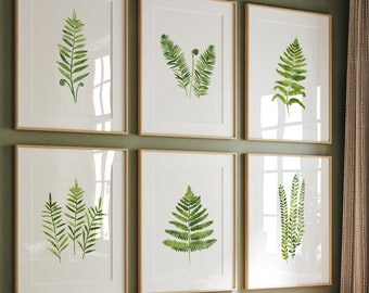 Fern Leaf Wall Art set of 6