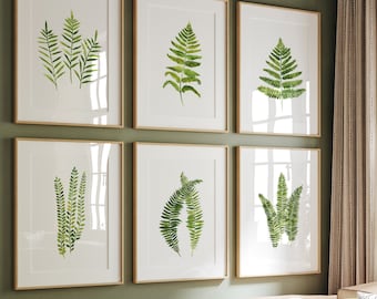 Pittura ad acquerello con felce, decorazione da parete con foglie verdi, set botanico di 6 opere d'arte, poster minimalista astratto moderno, stampe per soggiorno