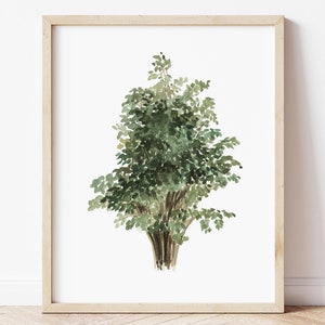 Dipinto ad Acquerello di Nocciolo, Poster Botanico Stampato, Decorazione da Parete Verde e Marrone, Arte su Tela per Soggiorno