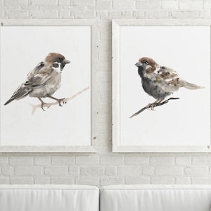 May include: Two framed watercolour paintings of brown sparrows perched on branches. The birds are facing opposite directions. The paintings are set against a white brick wall.