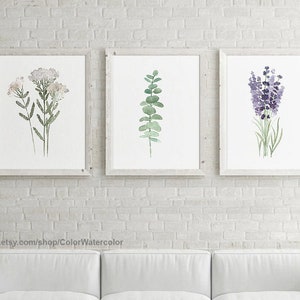 May include: Three framed watercolor prints of botanical illustrations. The prints feature a sprig of white flowers, a branch of eucalyptus leaves, and a bunch of lavender flowers.