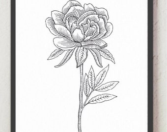 Peony Coloring Page Etsy