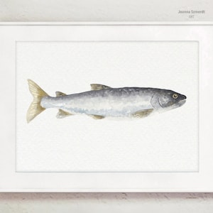 Puede incluir: Una pintura de acuarela de un pez gris plateado con una aleta caudal amarilla. El pez nada hacia la derecha. La pintura está enmarcada en un marco blanco. El nombre del artista, Joanna Semerdt, y el año, 2021, están escritos en la esquina superior derecha de la pintura.