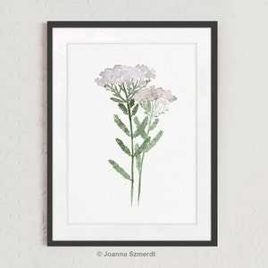 Wild Flower Watercolor Painting, Minimalist Floral Artwork, Milfoil Botanical Art Yarrow Herbs Decor, Kitchen Wall Decor Modern Art Print