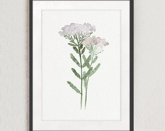Wild Flower Watercolor Painting, Minimalist Floral Artwork, Milfoil Botanical Art Yarrow Herbs Decor, Kitchen Wall Decor Modern Art Print