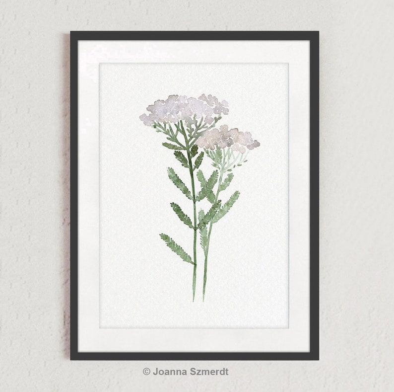 Wild Flower Watercolor Painting, Minimalist Floral Artwork, Milfoil Botanical Art Yarrow Herbs Decor, Kitchen Wall Decor Modern Art Print image 1