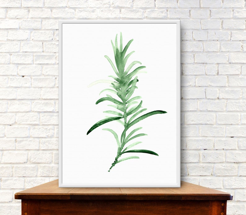 Thyme Rosemary Art Print Herbal Kitchen Decor Green Leaves Etsy