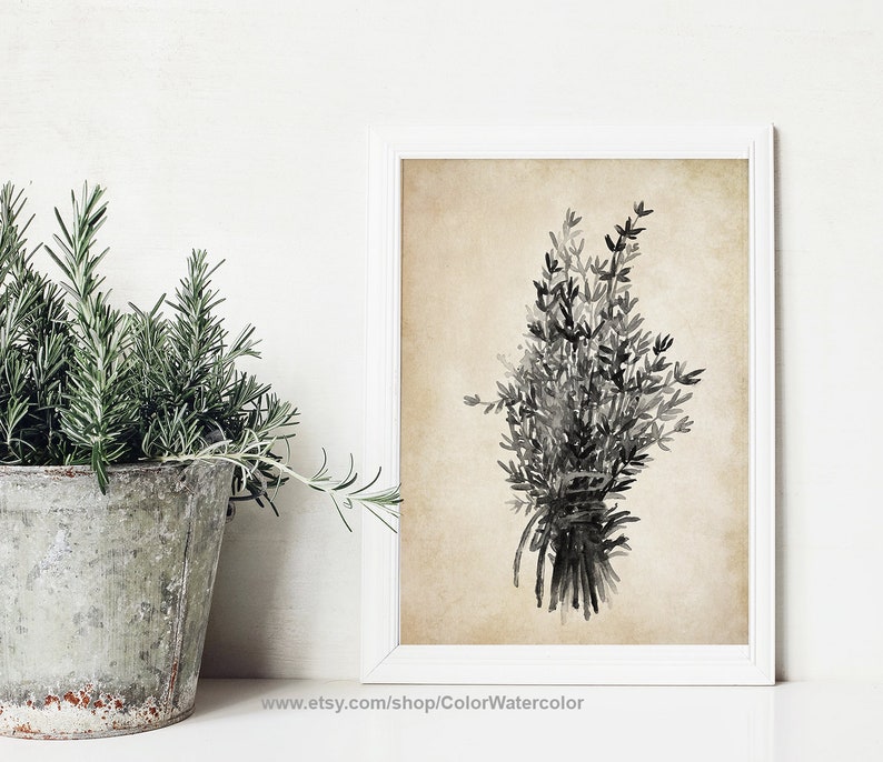Thyme Painting Thyme Decor Thyme Kitchen Art Grey Botanical Etsy
