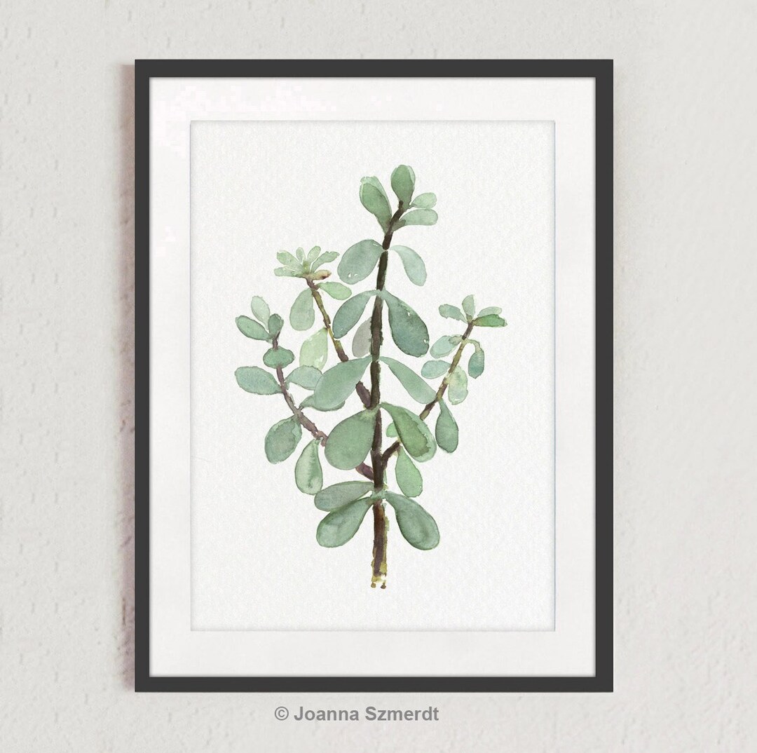 Jade Wall Art Green Home Decor Jade Art Print Money Tree Etsy