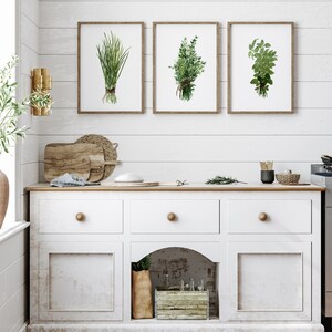Herbs Bundle Thyme Basil Chive Set 3 Herb Art Prints Green Kitchen Wall ...