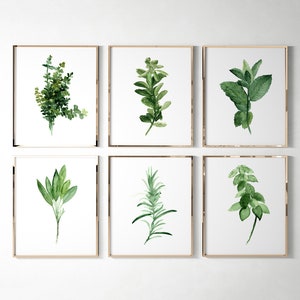 Kitchen Herb Print Green Wall Wall Art, Print set of 6 Herbs Spices Art Decor, Gift for Women Botanical Illustration, Home Garden Painting image 3