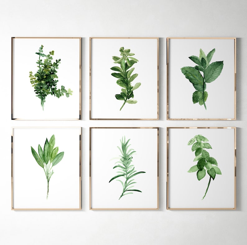 Kitchen Herb Print Green Wall Wall Art, Print set of 6 Herbs Spices Art Decor, Gift for Women Botanical Illustration, Home Garden Painting image 3