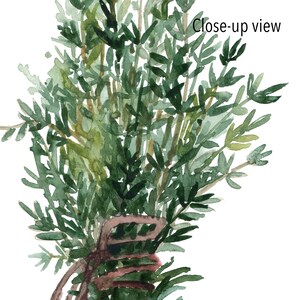 Herbs Bundle Thyme Basil Chive Set 3 Herb Art Prints Green Kitchen Wall ...
