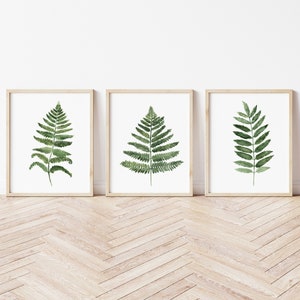 Fern Wall Art, Green Art Print, Fern Watercolor Painting, Leaf Botanical Art, Abstract Prints set of 3, Living Room Wall Decor image 3