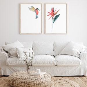 May include: Two framed watercolor prints, one featuring a hummingbird in flight and the other a red bird of paradise flower.