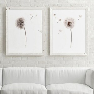 May include: Two framed watercolor paintings of dandelion flowers with seeds blowing in the wind. The paintings are in white frames and are hanging on a white brick wall.