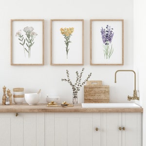 Botanical Kitchen Herbs Prints Set of 3, Herb Wall Art, Kitchen Art ...