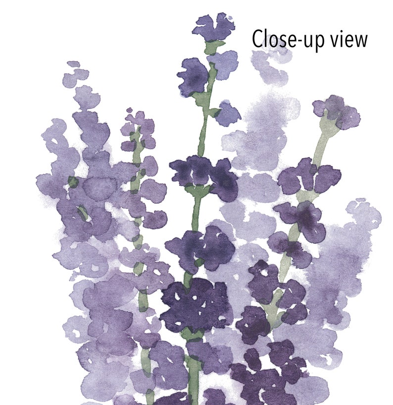 May include: Watercolor painting of lavender flowers in shades of purple and green. The flowers are arranged in a loose bouquet, with some of the stems overlapping. The painting has a soft, dreamy feel.