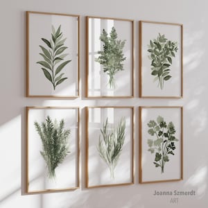 May include: Set of six framed watercolor prints featuring different types of green herbs. Each print is framed in a light wood frame and features a single type of herb, including rosemary, thyme, parsley, sage, oregano, and basil.