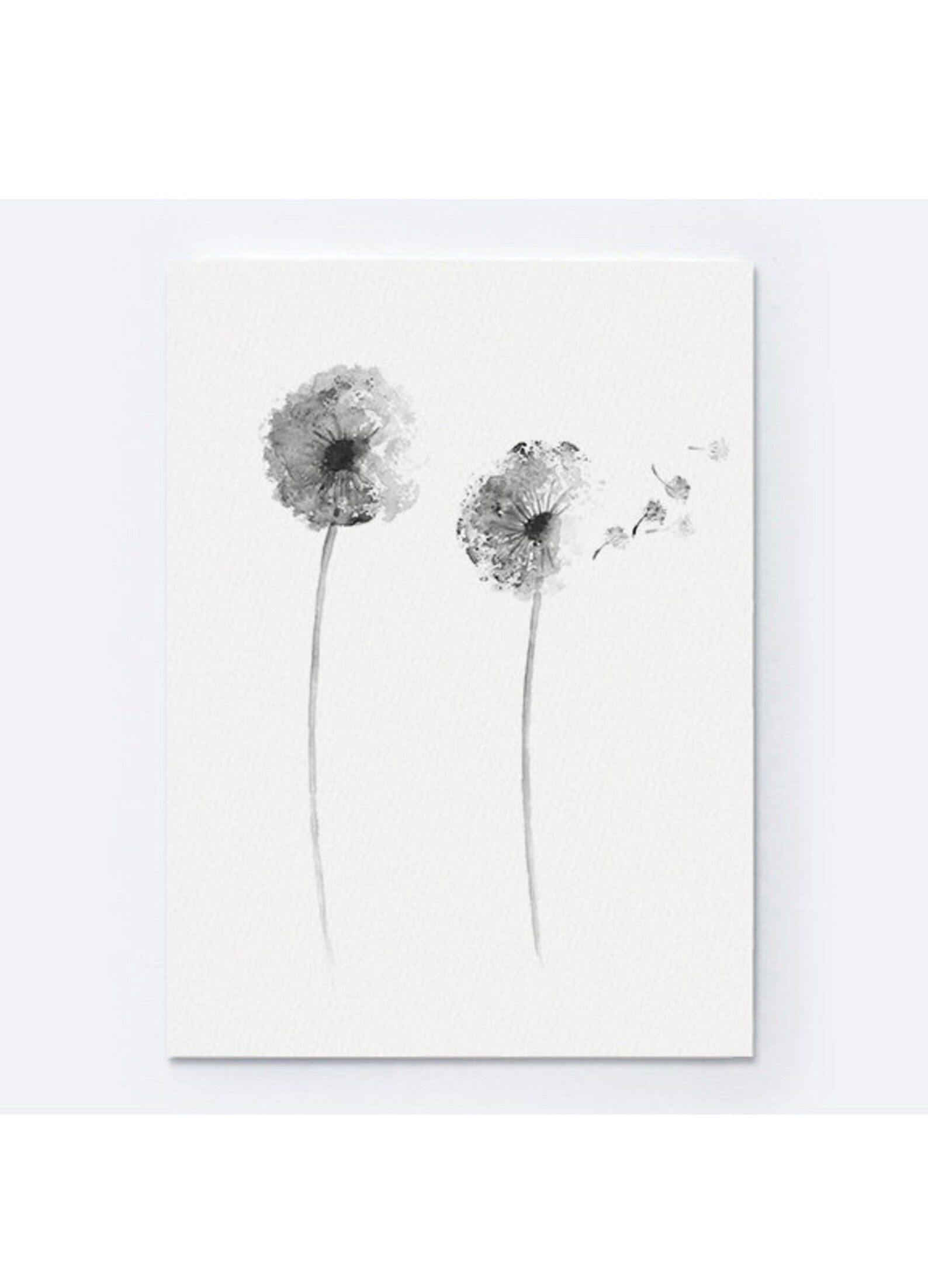 Dandelion Set of 2 Floral Art Print Gray Flower Black and - Etsy