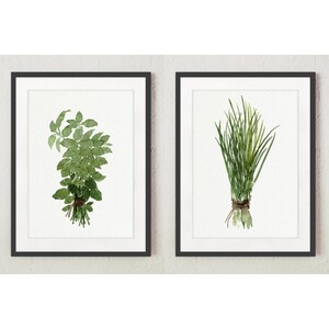 Basil Chive Herbs Bundle Greenery Herb Art Print Kitchen Wall Decor ...