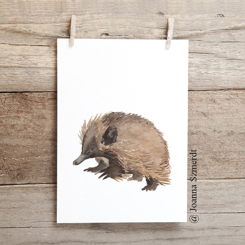 CHARITY AUSTRALIA Download Echidna Print Echidna Painting Etsy