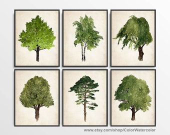 Tree of Life Print, Tree of Life Decor, Oak Art Print, Pine Painting, Birch Illustration, Gallery Wall set of 6 Trees, Maple Leaf Poster