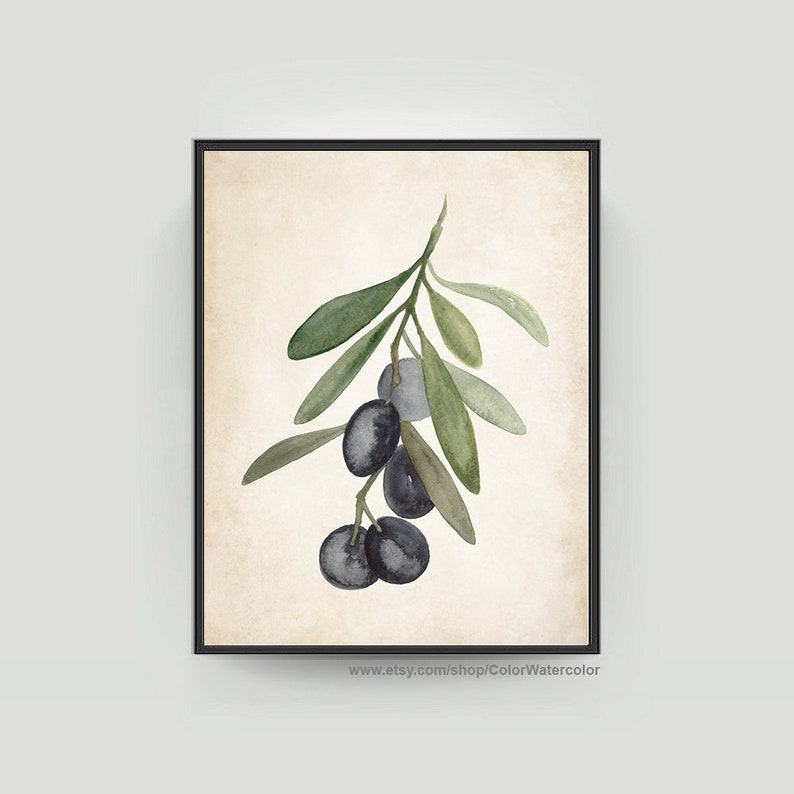 Olive Art Print Olive Painting Rustic Olive Wall Art Olives | Etsy